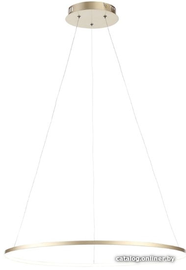 

Подвесная люстра ST Luce Erto SL904.213.01