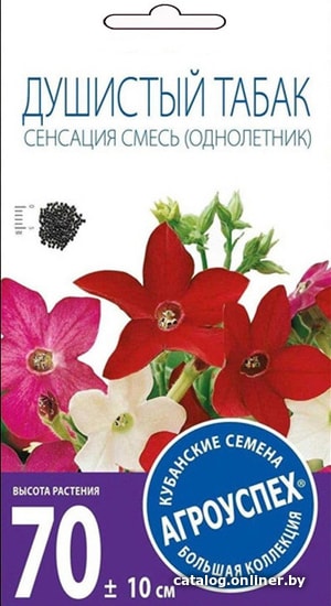 

Семена цветов Агроуспех Душистый табак сенсация смесь 29736 0.1 г