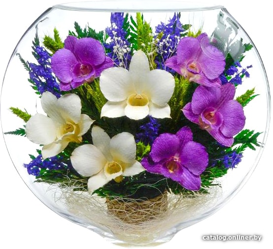 

Цветы, букеты Natural Flower Products Композиция из фиолетовых и белых орхидей LZV-02