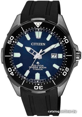 

Наручные часы Citizen BN0205-10L