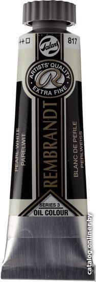 

Масляные краски Rembrandt 817 01038172 (жемчужный белый)