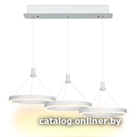 

Подвесная люстра LED Technology Ring 54