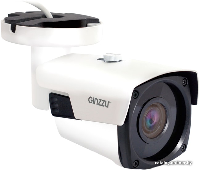 

IP-камера Ginzzu HIB-5V01S