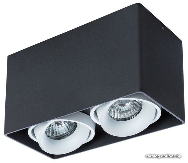 

Точечный светильник Arte Lamp Pictor A5654PL-2BK