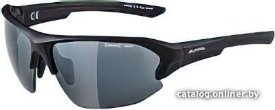 

Солнцезащитные очки Alpina Lyron HR A86323-31 (черный матовый)