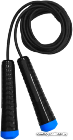 

Скакалка Fortius F210401-3BE/LB (черный/синий)