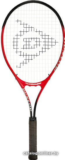 

Теннисная ракетка Dunlop Nitro Junior G0 10312851
