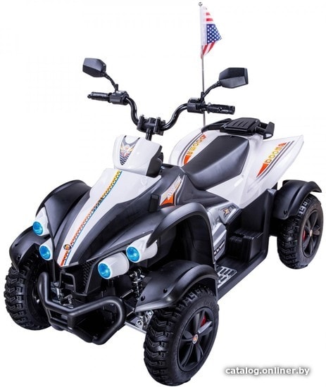 

Электроквадроцикл RiverToys P222PP (белый)