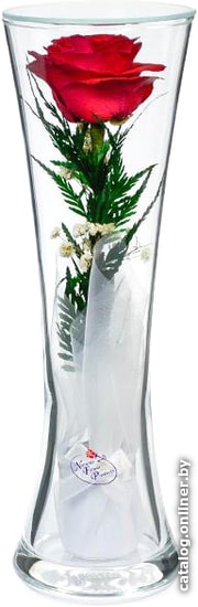 

Цветы, букеты Natural Flower Products Композиция из красных роз JbOY2