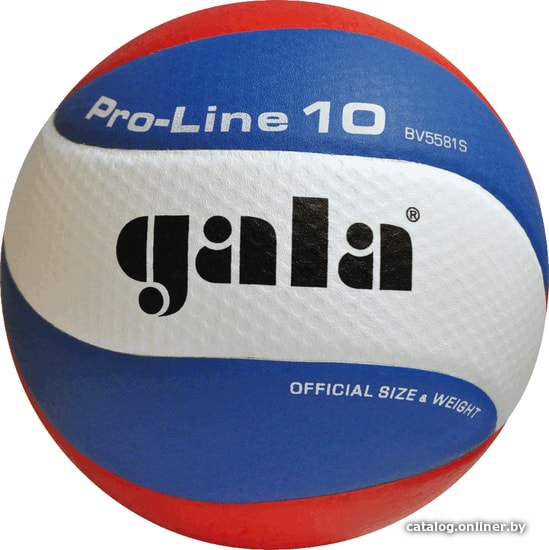 

Волейбольный мяч Gala Pro Line 10 BV 5581 S (5 размер, белый/синий/красный)