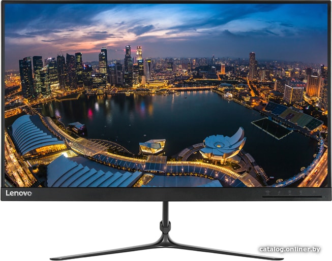 

Монитор Lenovo L24i-10 65D6KAC3EU