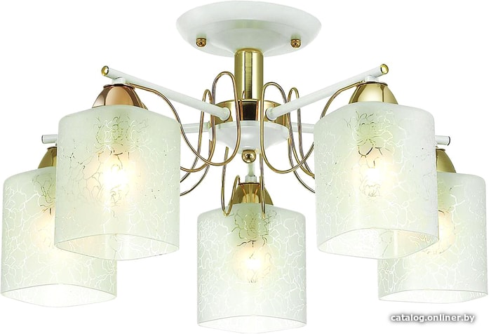 

Люстра средней высоты Lumion Opicus 3508/5C