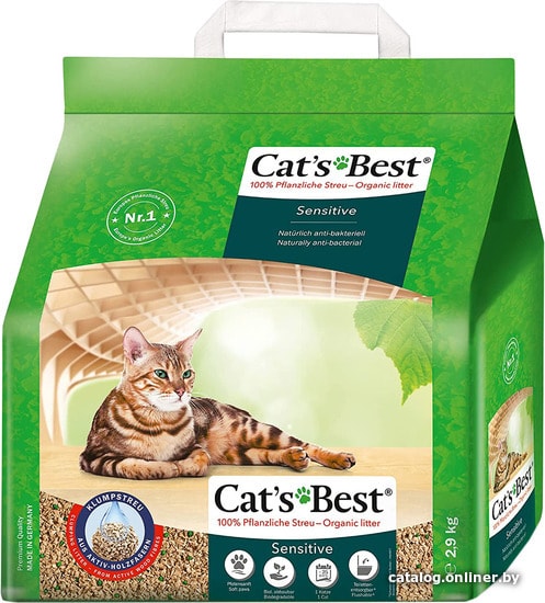 Cats best