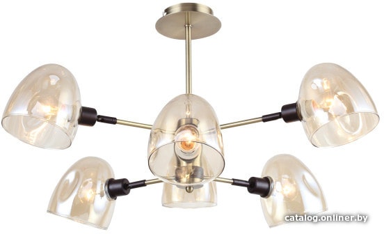 

Люстра средней высоты Rivoli Camila 4034-306