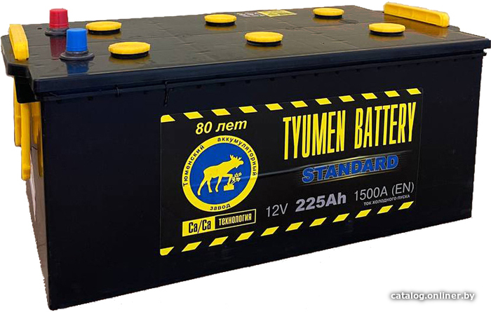 

Автомобильный аккумулятор Tyumen Battery Standart L+ (225 А·ч)