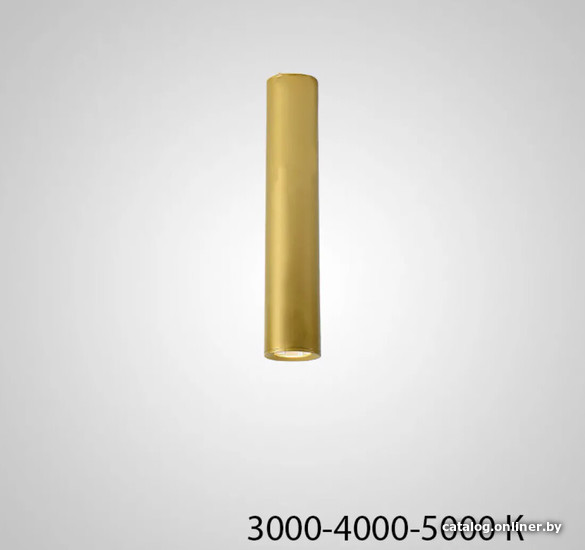 

Точечный светильник ImperiumLoft Pan01 212632-23