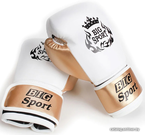 

Перчатки для единоборств BigSport D103B (12 oz, белый)