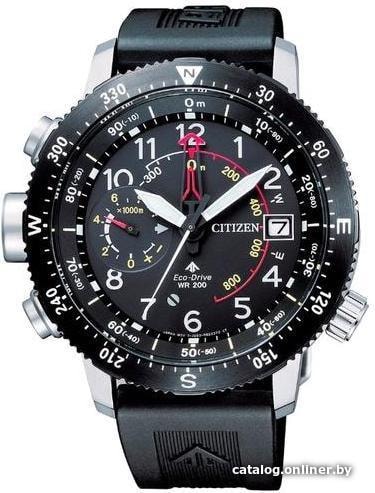 

Наручные часы Citizen BN4044-15E