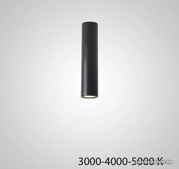 

Точечный светильник ImperiumLoft Pan01 212625-23