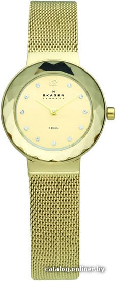 

Наручные часы Skagen 456SGSG