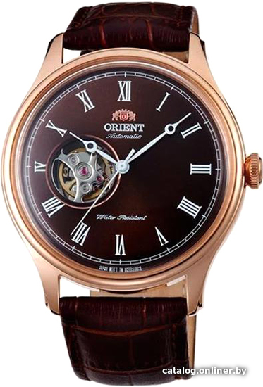 

Наручные часы Orient SAG00001T