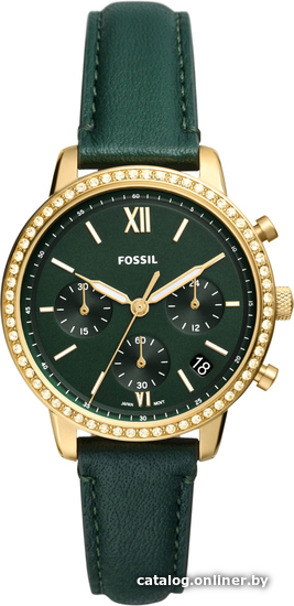 

Наручные часы Fossil Neutra ES5239