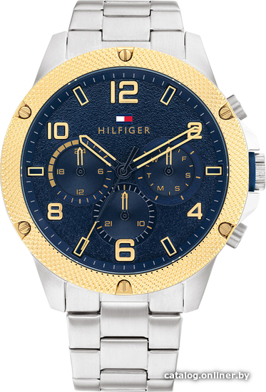

Наручные часы Tommy Hilfiger Blaze 1792031