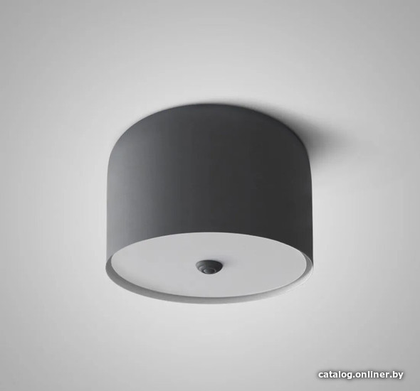 

Светильник-тарелка ImperiumLoft Cylinder01 178349-26