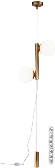 

Торшер Maytoni Erich MOD221FL-01G