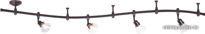 

Трековый светильник Citilux Трек Бисмарк CL564541