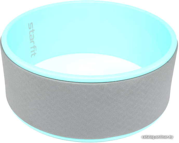 

Ролик для пресса Starfit YW-101 (мятный/серый)