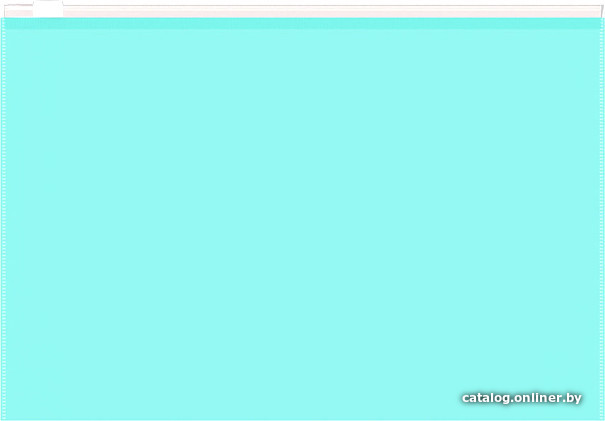 

Папка для бумаг Erich Krause Fizzy Pastel Mint B5 мятный 53515