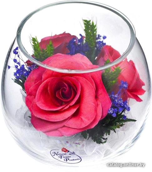 

Цветы, букеты Natural Flower Products Композиция из розовых роз ItpYw