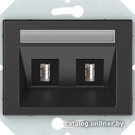 

Розетка USB Vilma Express XP 500 USB/USB an