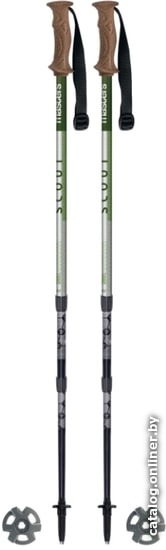 

Треккинговые палки Masters Scout Green 01S5119