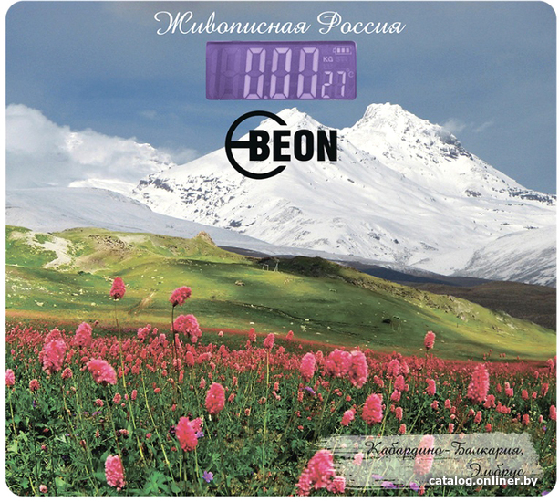

Напольные весы Beon BN-1106