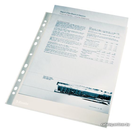 

Файл-вкладыш Esselte Premium 56093 (прозрачный)