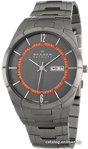 

Наручные часы Skagen SKW6008