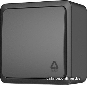 

Кнопка для звонка Vilma Style plus SL+250 P110-012 an