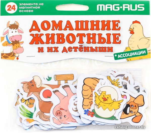 

Развивающая игра Анданте Mag-Rus Домашние животные и их детеныши. Ассоциации NF1013