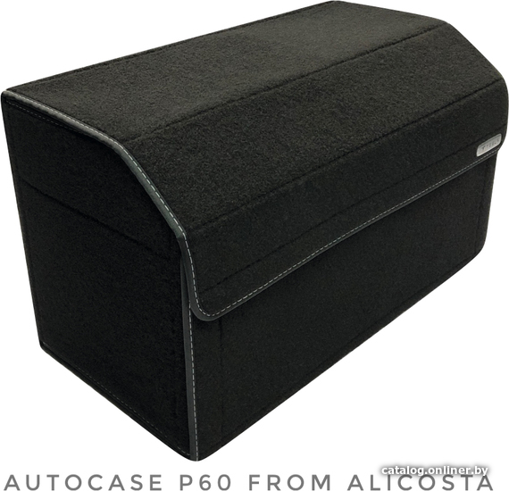 

Органайзер автомобильный Alicosta P60 (черный)