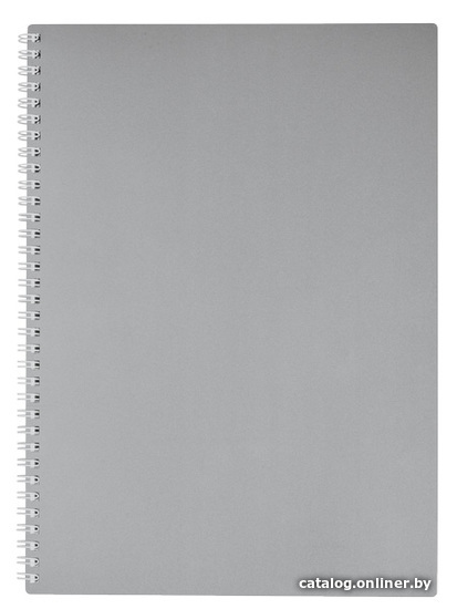 

Общая тетрадь Hatber Metallic 80Т4В1гр_03414 (80 л)