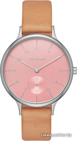 

Наручные часы Skagen SKW2406