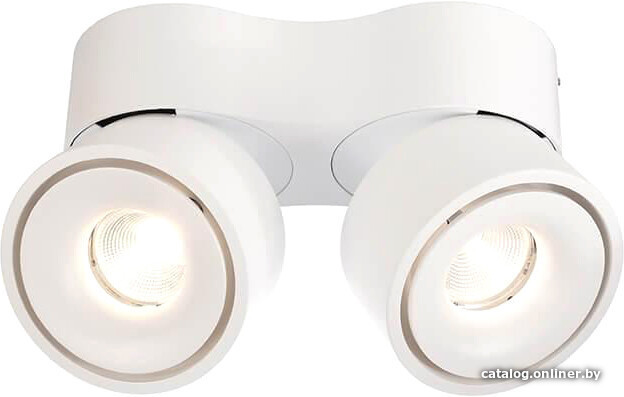 

Точечный светильник Deko-Light Uni II Double 348125