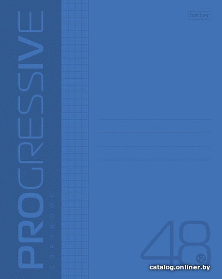 

Полуобщая тетрадь Hatber Progressive 48Т5В1 (синий)