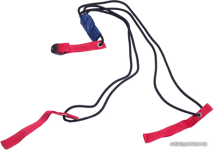 

Резиновая лента BaseFit 1.2 м 3-5 кг (малиновый/серый/черный)