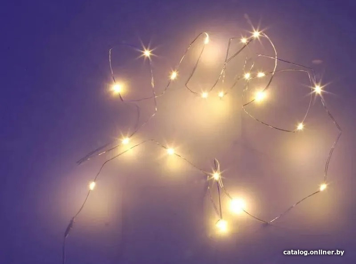 

Новогодняя гирлянда SHLights Нить LDM020WW-BO 20