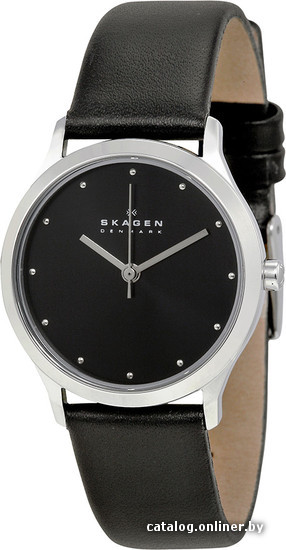 

Наручные часы Skagen SKW2283