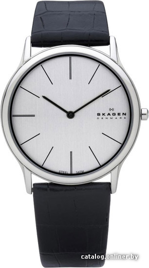 

Наручные часы Skagen 858XLSLC