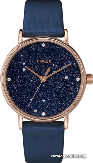

Наручные часы Timex TW2T87800